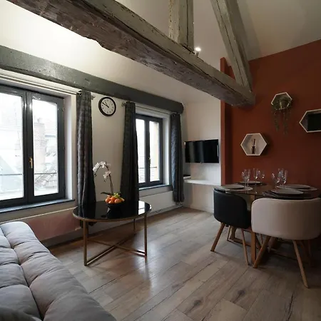 Duplex De Charme Au Coeur Historique De * Metz