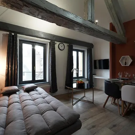 Апартаменты Duplex De Charme Au Coeur Historique De Мец