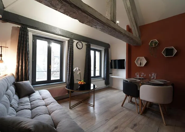 公寓 Duplex De Charme Au Coeur Historique De