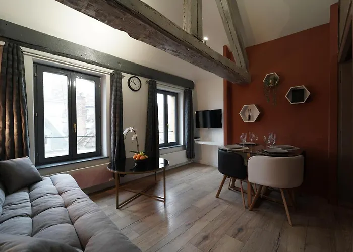 Duplex De Charme Au Coeur Historique De * 梅斯