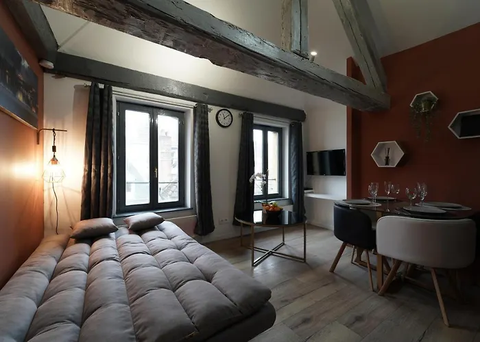 公寓 Duplex De Charme Au Coeur Historique De 梅斯